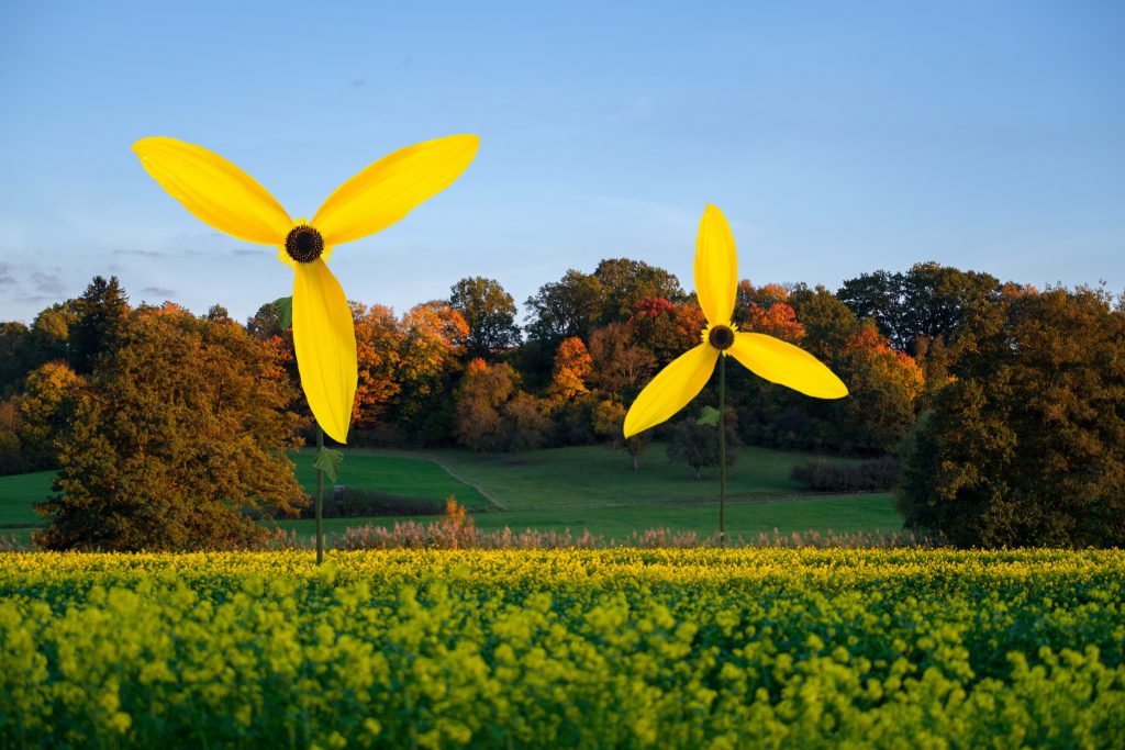 Windrad Garten Sonnenblume Windmühle