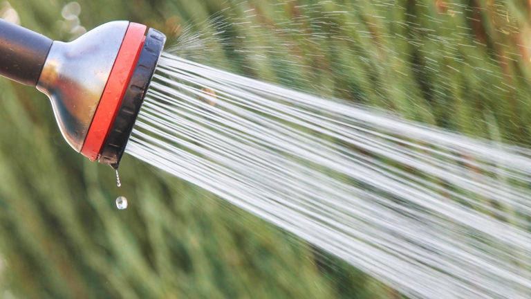 Mit Wasser gegen Wühlmäuse & Maulwürfe: Sinnvoll oder nicht? Wasser gegen Wühlmäuse Maulwürfe